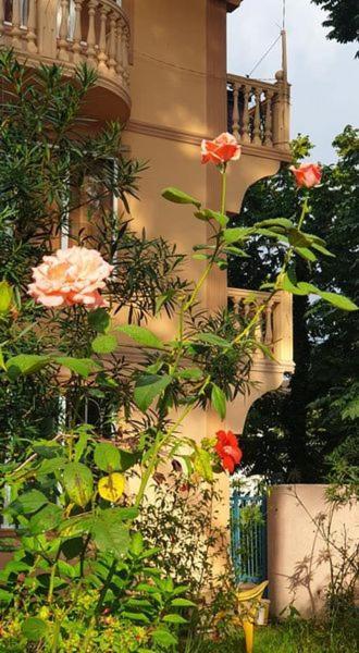 Hotel - Shorena Ureki Ngoại thất bức ảnh
